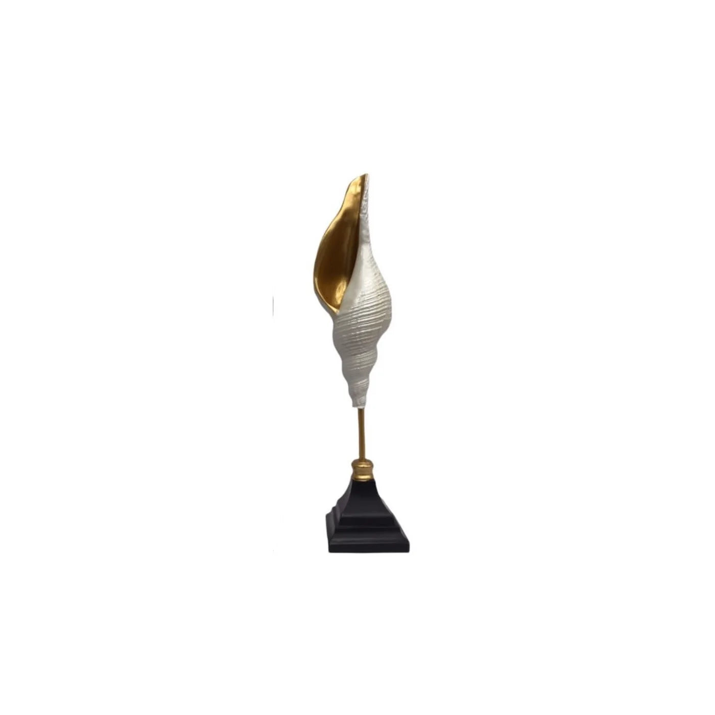 CENTERPIECE -ASSORTED SEACHELL
